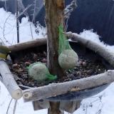 photo 2019-01-11 08-45-11