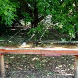 photo 2021-05-25 07-50-44