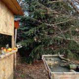 photo 2021-12-22 10-29-48