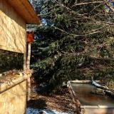 photo 2022-01-10 10-53-07