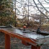 photo 2022-03-13 06-42-58