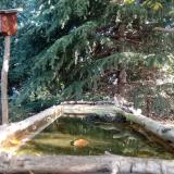 photo 2023-10-12 10-08-18