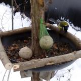 photo 2019-01-12 10-23-39