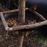 photo 2019-01-04 16-17-20