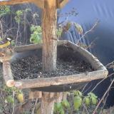 photo 2019-12-11 12-54-26