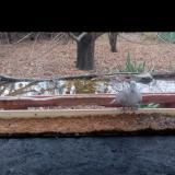 photo 2021-11-28 12-54-38