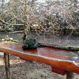 photo 2021-03-21 07-49-47