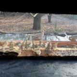 photo 2021-12-04 09-45-51