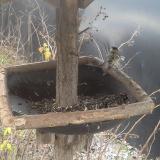 photo 2019-12-29 13-13-00