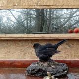 photo 2022-01-31 12-13-43