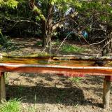 photo 2021-04-22 10-03-37