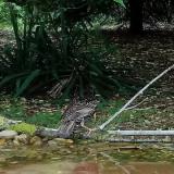 photo 2021-05-15 13-52-49 seregely