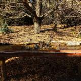 photo 2021-10-25 14-31-10