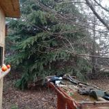 photo 2021-12-16 10-11-29