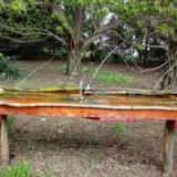 photo 2021-04-20 09-56-57