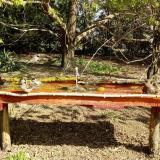 photo 2021-04-12 09-53-15