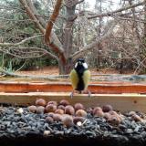 photo 2021-11-04 12-31-05