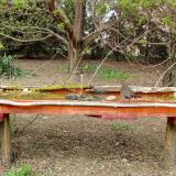 photo 2021-04-12 15-33-54