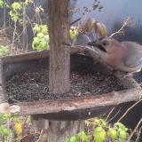 photo 2019-12-12 11-52-05