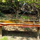 photo 2021-04-21 12-37-16