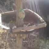 photo 2019-02-13 10-06-11