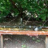 photo 2021-08-04 13-48-12