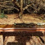 photo 2021-10-26 12-10-09