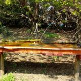 photo 2021-04-21 13-03-15