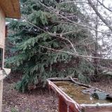 photo 2021-12-11 14-22-09