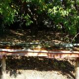 photo 2021-10-02 11-48-41