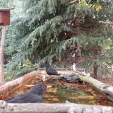 photo 2023-10-10 08-51-36