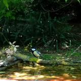 photo 2021-05-08 11-18-56 cinke