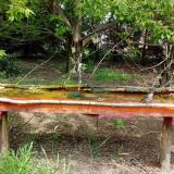 photo 2021-04-29 12-02-28