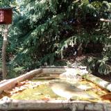 photo 2023-10-04 15-00-56