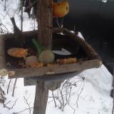 photo 2019-01-24 07-41-09