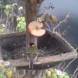 photo 2019-12-05 13-13-20