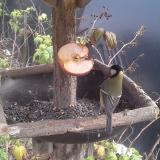 photo 2019-12-05 13-45-35