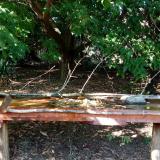 photo 2021-09-09 15-57-32