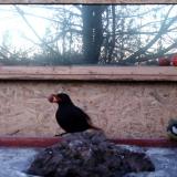 photo 2022-01-21 07-10-49