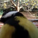 photo 2021-10-22 08-35-44