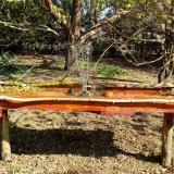 photo 2021-04-10 09-35-16