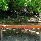 photo 2021-05-08 11-16-49