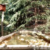 photo 2023-10-17 13-10-25