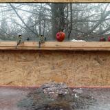 photo 2022-01-16 12-07-56