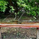 photo 2021-05-15 09-29-09