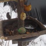 photo 2019-01-27 11-54-08