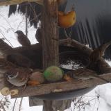 photo 2019-01-27 11-45-04