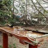 photo 2022-03-30 14-40-18