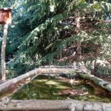 photo 2023-10-03 11-10-48