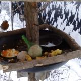 photo 2019-01-22 08-30-16